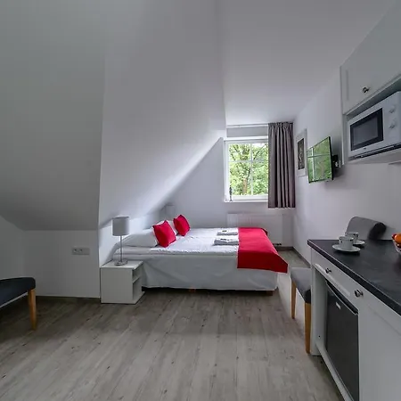 Willa Tecza 3* Szczawnica
